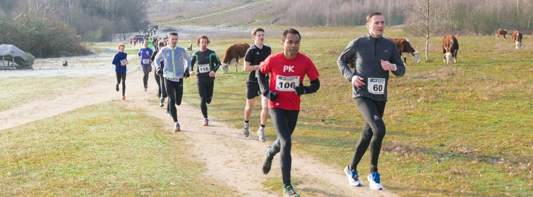 banner Kwintelooyen Winterrun 2019