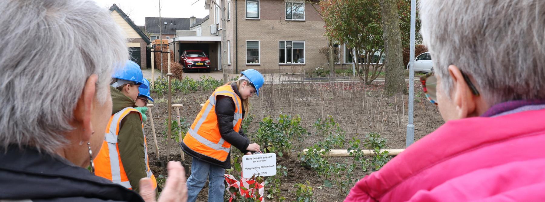 banner Vergroening Overbetuwe