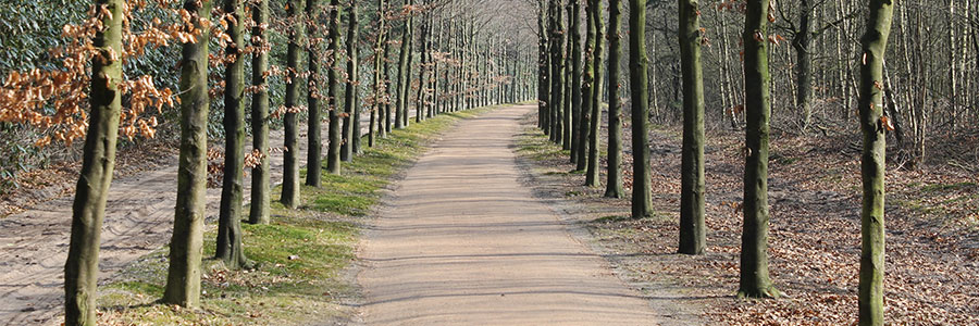 Natuurlijke halfverharding wandelpad