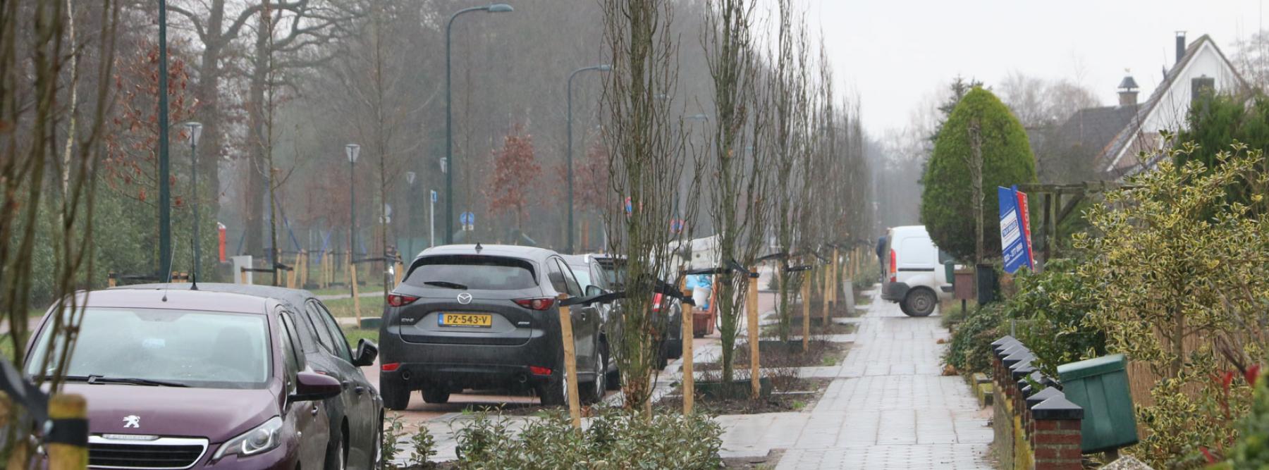 banner Groenaanplant Eikenlaan Scherpenzeel