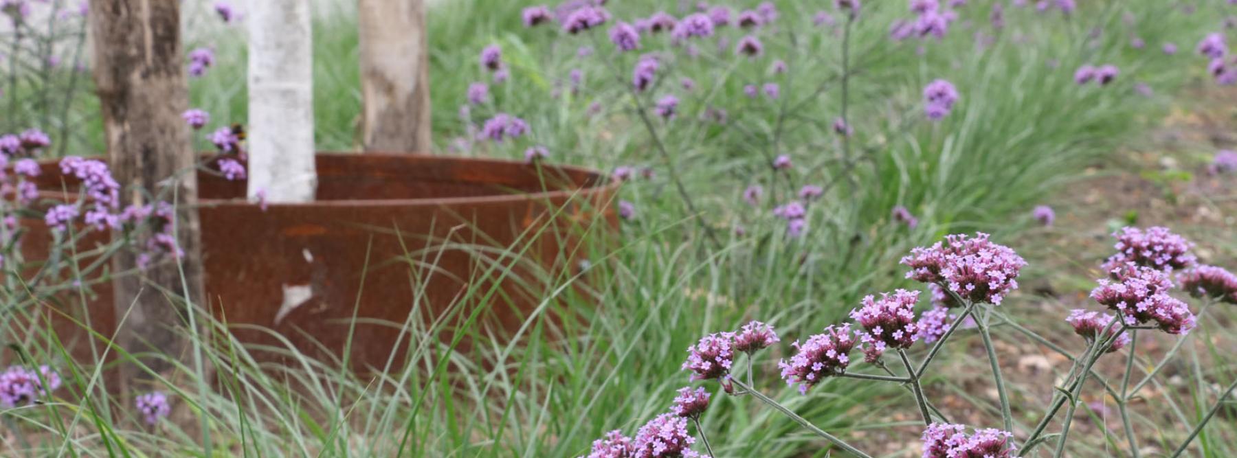 banner Groenrenovatie Husselerveld Putten